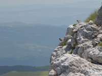 2020-06-27 Anello del Monte Greco 078